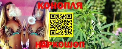 СК Обь