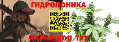 apvp Обнинск